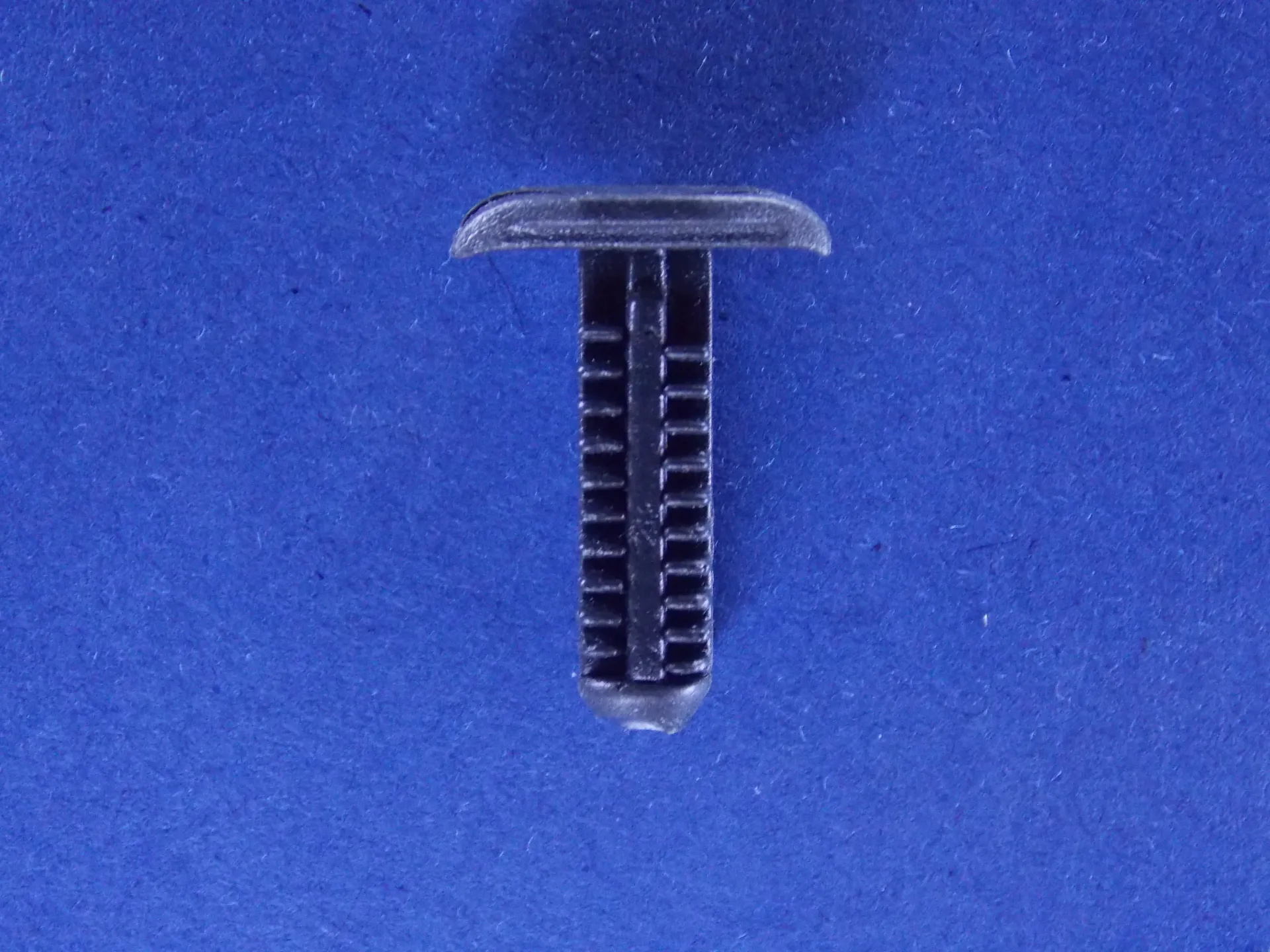 Clip - C5